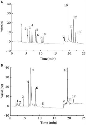 Hypolipidemic mechanism of Pleurotus eryngii polysaccharides in high-fat diet-induced obese mice based on metabolomics